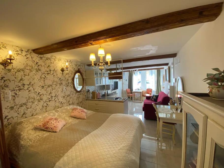 Ravissant Shabby Chic Au Centre De Metz Apartment Exterior foto